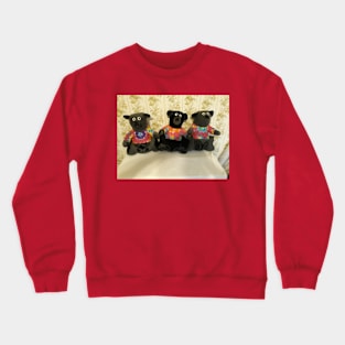 Expressive Bears Crewneck Sweatshirt